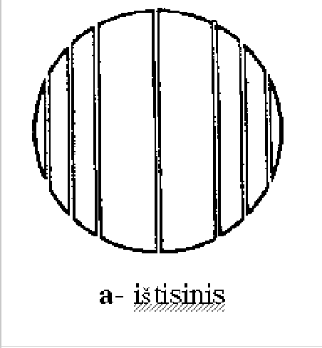 \begin{figure}\begin{center}
\epsfig{file=rastai1.eps,width=10.0cm}\end{center}\end{figure}