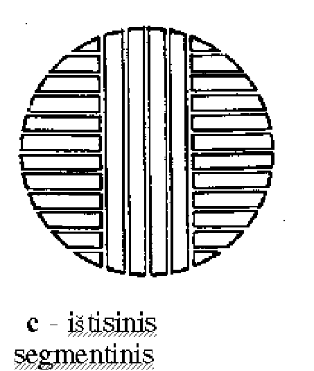 \begin{figure}\begin{center}
\epsfig{file=rastai2.eps,width=10.0cm}\end{center}\end{figure}