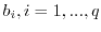 $b_i, i=1,...,q$