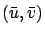 $(\bar{u},\bar{v})$