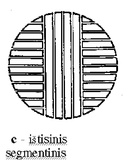 \epsfig{file=rastai2.eps,width=10.0cm}