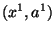 $(x^1,a^1)$